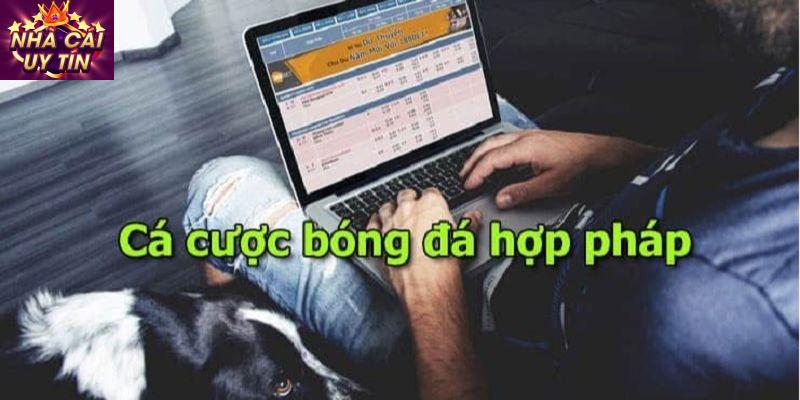 Tại sao cần phải Đặt Cược An Toàn?